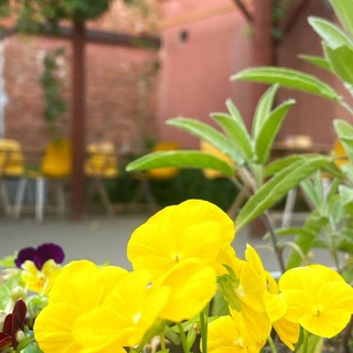 Логотип @teatr_spb_24 - Театральный Петербург & Кино