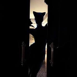 Логотип @tebe_sms - 369'