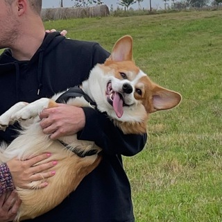 Логотип @tebelen - Жизнь Софи из Праги