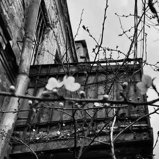 Логотип @tebepostum - где задуманы вещи