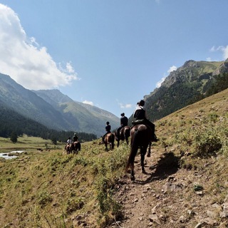 Логотип @teberda_dombay_aksaut - Конные походы, джипинг, квадроциклы. Теберда, Аксаут, Домбай, Учкулан.