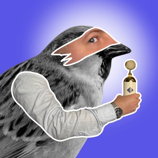 Логотип @techbybird - Воробей