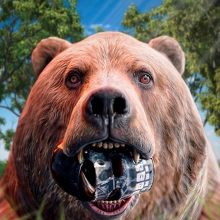 Логотип @tedibir - RUST TEDIBIR