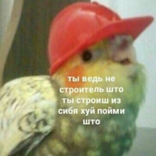 Логотип @tel0123456789 - ПриёмныйСАДИК