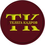 Логотип @TelegaKadrov - ОХРАНА - РАБОТА - ВАКАНСИИ ТЕЛЕГА КАДРОВ Telega Kadrov