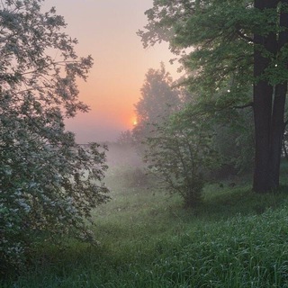 Логотип @tele1grram - ₊˚. ранковий туман ༄