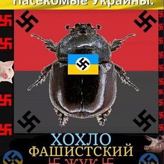 Логотип @tele_fors - Форс (тэлэграмный)