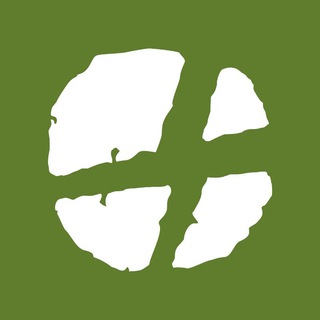 Логотип @telecamp_new - TeleCamp