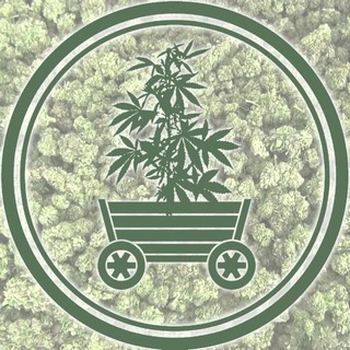 Логотип @telegastaffa - ТелеСтафф