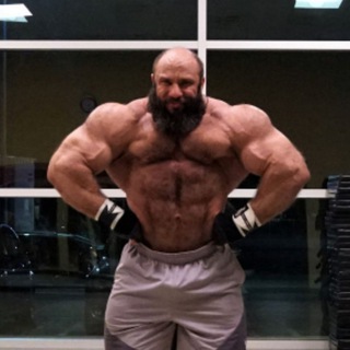 Логотип @telegavalerona - ТЕЛЕГА ВАЛЕРОНА