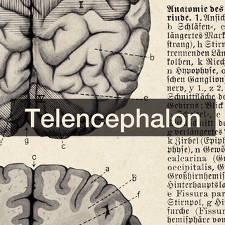 Логотип @telencephalon - Telencephalon