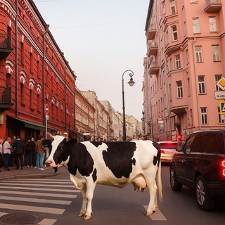 Логотип @telochkaspatrikov - Телочка с Патриков