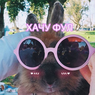 Логотип @telran - TR ++