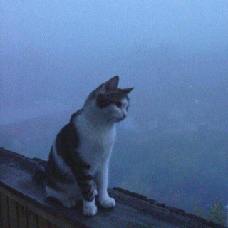 Логотип @temadly - ࣪˖ telegram themes°🫧｡⋆