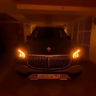 Логотип @temalogiua - TemaLogiua