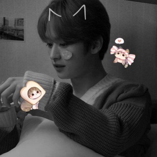 Логотип @temastraykidss - закрыт | темы для тг kpop❣️