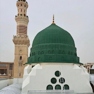 Логотип @temiz_urek - Təmiz ürək 🇵🇸