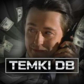 Логотип @temkidb - TEMKI DB