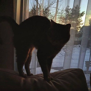 Логотип @temkisktt - temkiSKTT