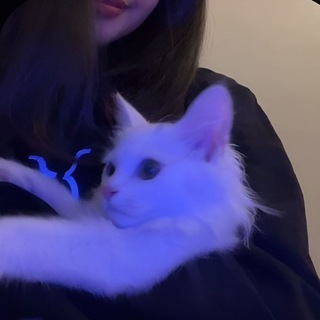 Логотип @temkiviskas - ⊱ темки | стикеры viskas ⊰