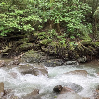 Логотип @temoignagecds - Dioxyde de Chlore