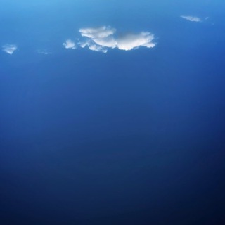 Логотип @temporary_pollen - Пыльца времени