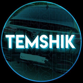 Логотип @temshik_slivi - Temshik // Курсы Схемы
