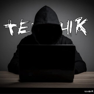 Логотип @temshikdao - Темщик