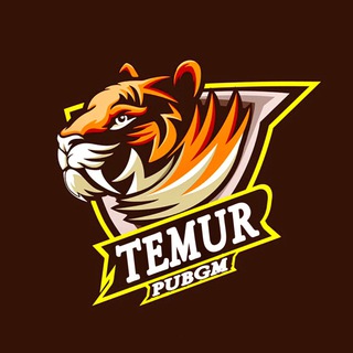 Логотип @temur_pubgm - TEMUR PUBGM (YouTube KaNal )