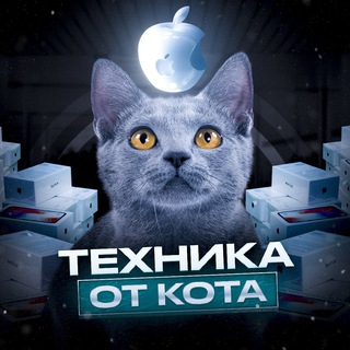 Логотип @temyskot - Продажа apple техники оптом