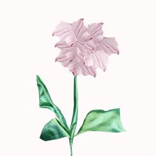 Логотип @tendraube - TENDRAUBE