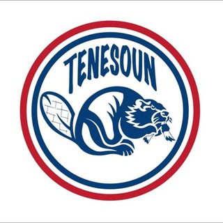 Логотип @tenesoun - Tenesoun