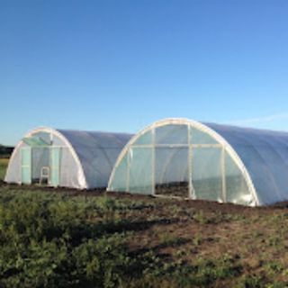 Логотип @tepbiz - Тепличный бизнес в деревне