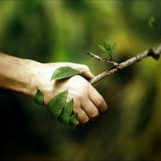 Логотип @terek_egemiz - КЕЛИҢ БИРГЕ ТЕРЕК ЕГЕЙИК 🌱🌳