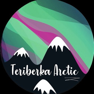 Логотип @teriberka_arctic - Туры Териберка | сияние | киты Teriberka Arctic