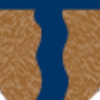 Логотип @terijoki - terijoki