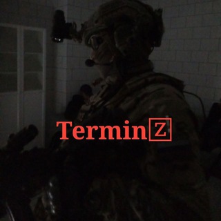Логотип @termin333 - Термин 🅉