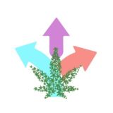 Логотип @terminalmegdlim - terminalmegdlim