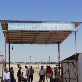 Логотип @termizmolbozor - TERMIZ MOL BOZORI