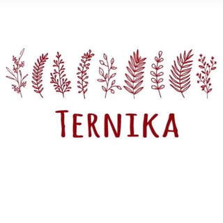 Логотип @ternikacraft - Ternika