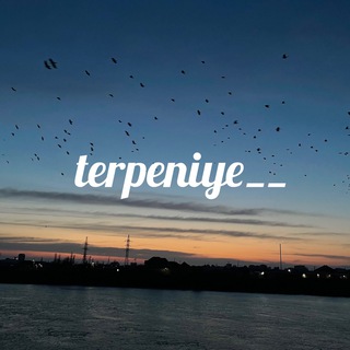 Логотип @terpeniye_3007 - terpeniye__