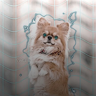 Логотип @tesbestlol - Агр Тес