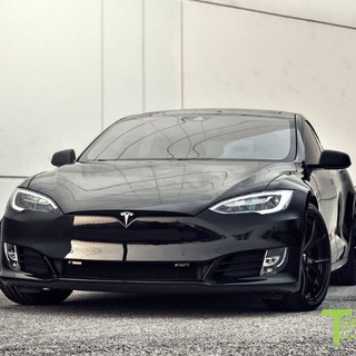 Логотип @teslafurs - TeslaFurs - Inactive