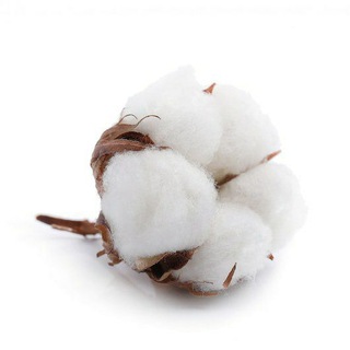 Логотип @tessutidimarca - 🇮🇹Итальянские ткани. Tessuti Di Marca.🇮🇹