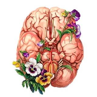 Логотип @test_anatomy - Тесты. Анатомия