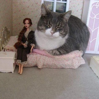 Логотип @testikiii1 - testiki