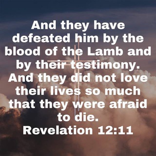 Логотип @testimony_of_pf_members - Testimony of PF Members