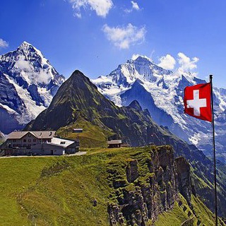 Логотип @testvirus24 - COVID 19