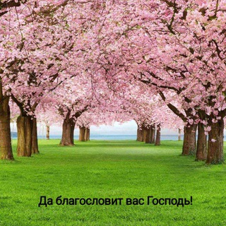 Логотип @tet1245 - Християнські псалми😊