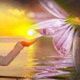 Логотип @tetahiling_rf - Жизнь в гармонии с собой и миром